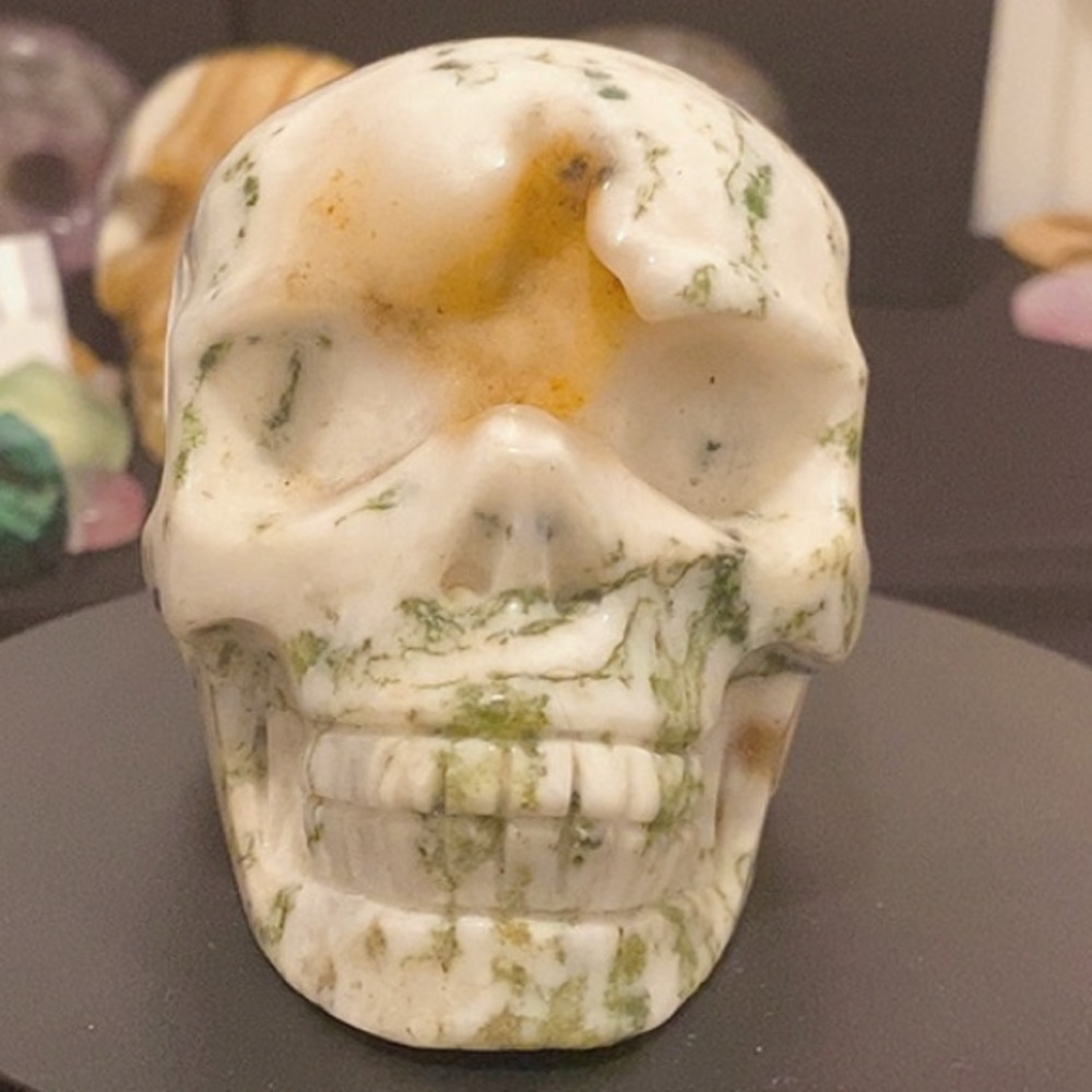 Tree Agate Druzy Skull